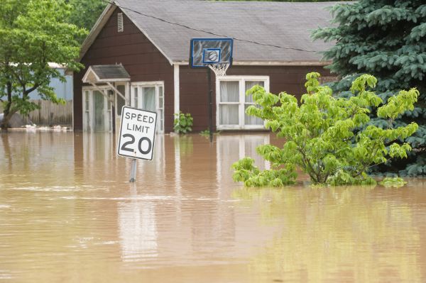 Cost of Storm Restoration Service in Pasadena