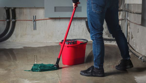 Cost of Flooded Basement Cleanup in Pasadena