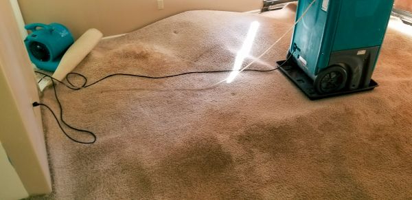 Cost of Flood Damage Cleanup in Pasadena