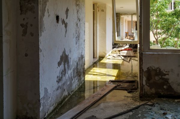 Cost of Water Removal Service in Pasadena