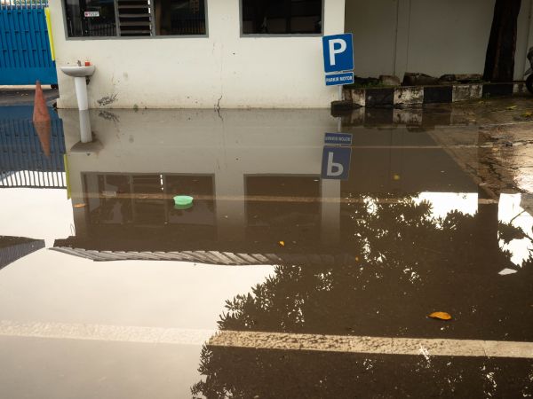 Cost of Storm Damage Repair in Pasadena