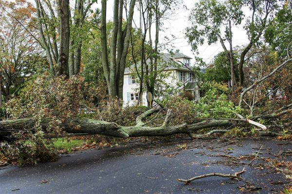 Cost of Tornado Damage Repair in Pasadena