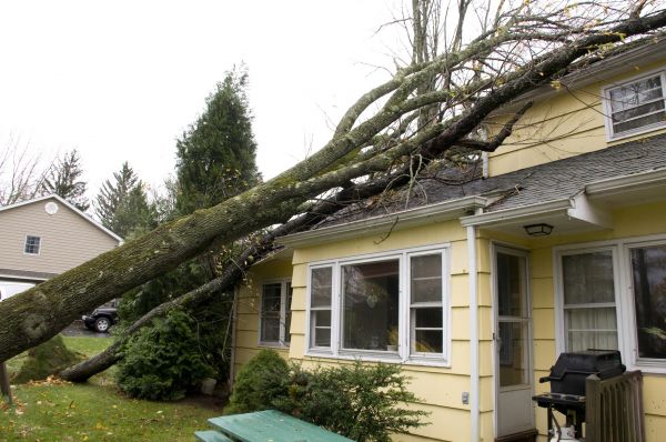 Cost of Storm Damage Mitigation in Pasadena